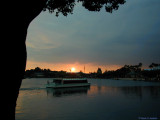 Epcot Sunset