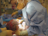 To Bring Forth New Life