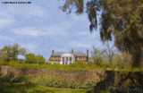 Boone Hall Plantation, In Oil