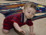 Crawling Around