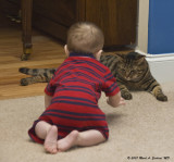 Cornering The Cat