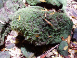 PC020105.jpg