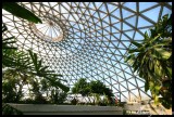 Brisbane Botanic Gardens - inside the dome