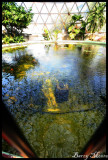 Brisbane Botanic Gardens - inside the dome and the pool