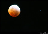 Blood moon and star trails IMG_0732.jpg