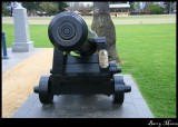 Canon at Ricmond War Memorial