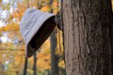 The Left Behind Hat