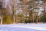 Winter in Wilket Creek Park