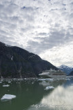 Tracy Arm