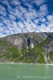 Tracy Arm