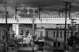 IMG_1343_BW_web.jpg