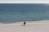 Watching the Sea - 1