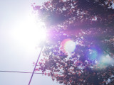 Test shot directly into the sun.