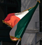 Irish flag