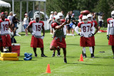 6811 <b> Larry Fitzgerald (11) WR</b>