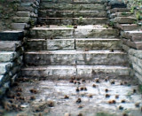 86.jpg