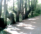 75.jpg
