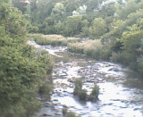 005.jpg