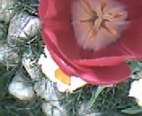 030.jpg