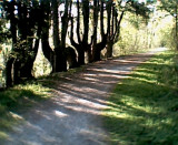 317.jpg