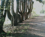 307.jpg