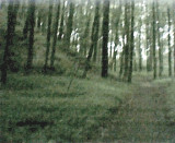 637.jpg