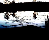 010.jpg