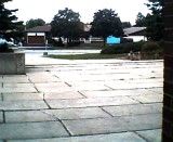 008.jpg