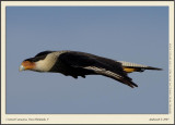 _DSC3850fscr.jpg