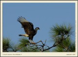 _DSC3864fscr.jpg