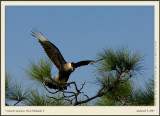 _DSC3890fscr.jpg