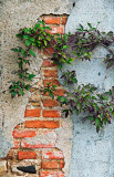 Old wall