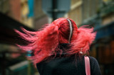 Windy redhead