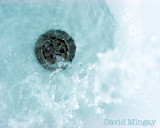 Jan 25: Down the drain