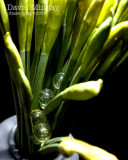 Feb 6: Hiding