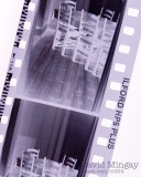 Apr 7: Drying HP5