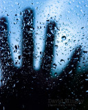 Jun 30: Wet