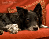 Sep 3: In my chair