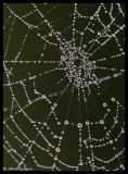 web