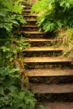 Morning lit stairs