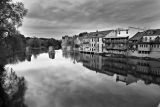 Elora