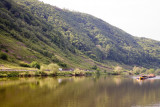 IMG_8527.jpg