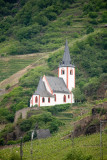 IMG_8624.jpg