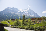 Alps