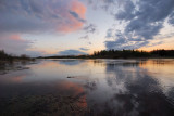 DSC_1040.jpg