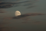 DSC_4364.jpg