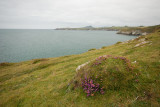 DSC_5009.jpg
