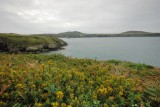 DSC_5017.jpg