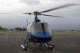 Rays Ride