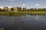 The Pond at Roscommon